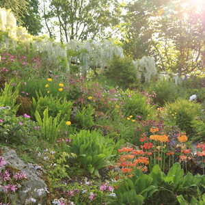 Rock Garden